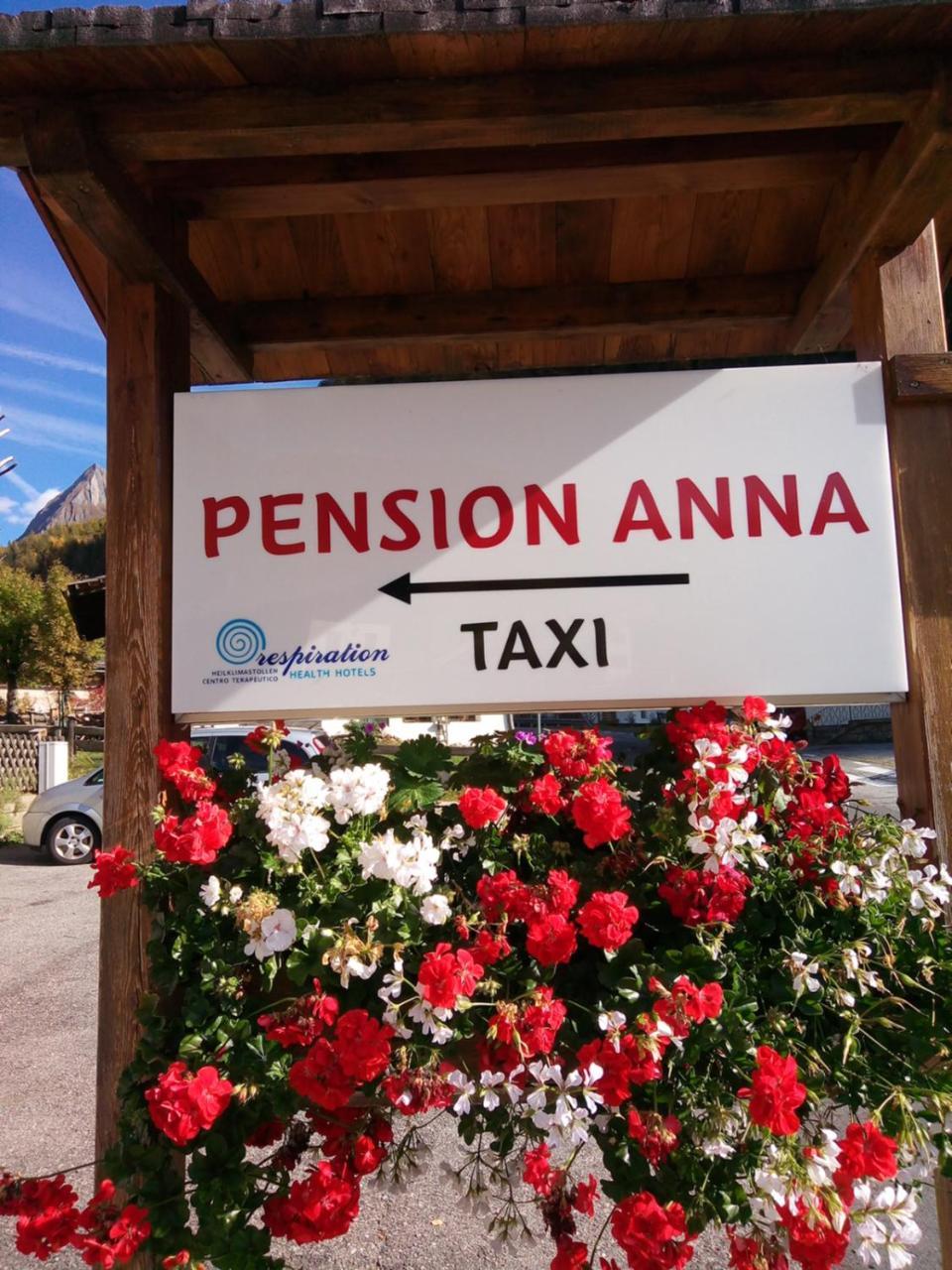 Pension & Appartament Anna プレドーイ エクステリア 写真